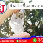 เรซิ่นใสทําเคส