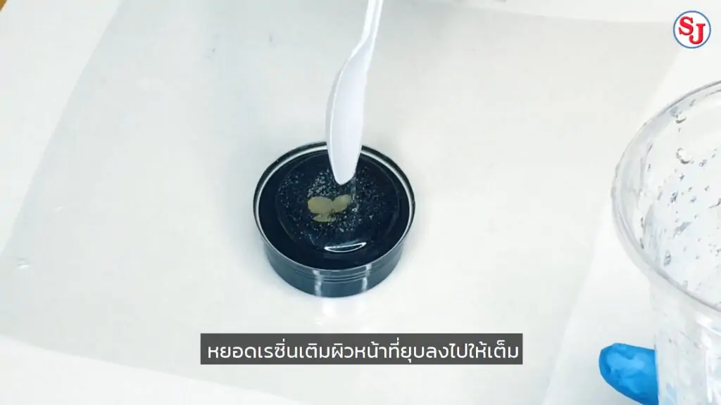 สร้าที่ทับกระดาษไม้ ด้วยอีพ็อกซี่เรซิ่นและเปลือกหอย