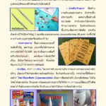 หนังสือเรซิ่นกับงานของที่ระลึก ตัวอย่าง1