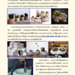 หนังสือเรซิ่นกับงานของที่ระลึก ตัวอย่าง2