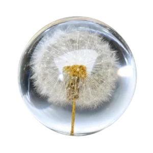 ร้านขายเรซิ่นเอสเจ 4 Resin dandilion